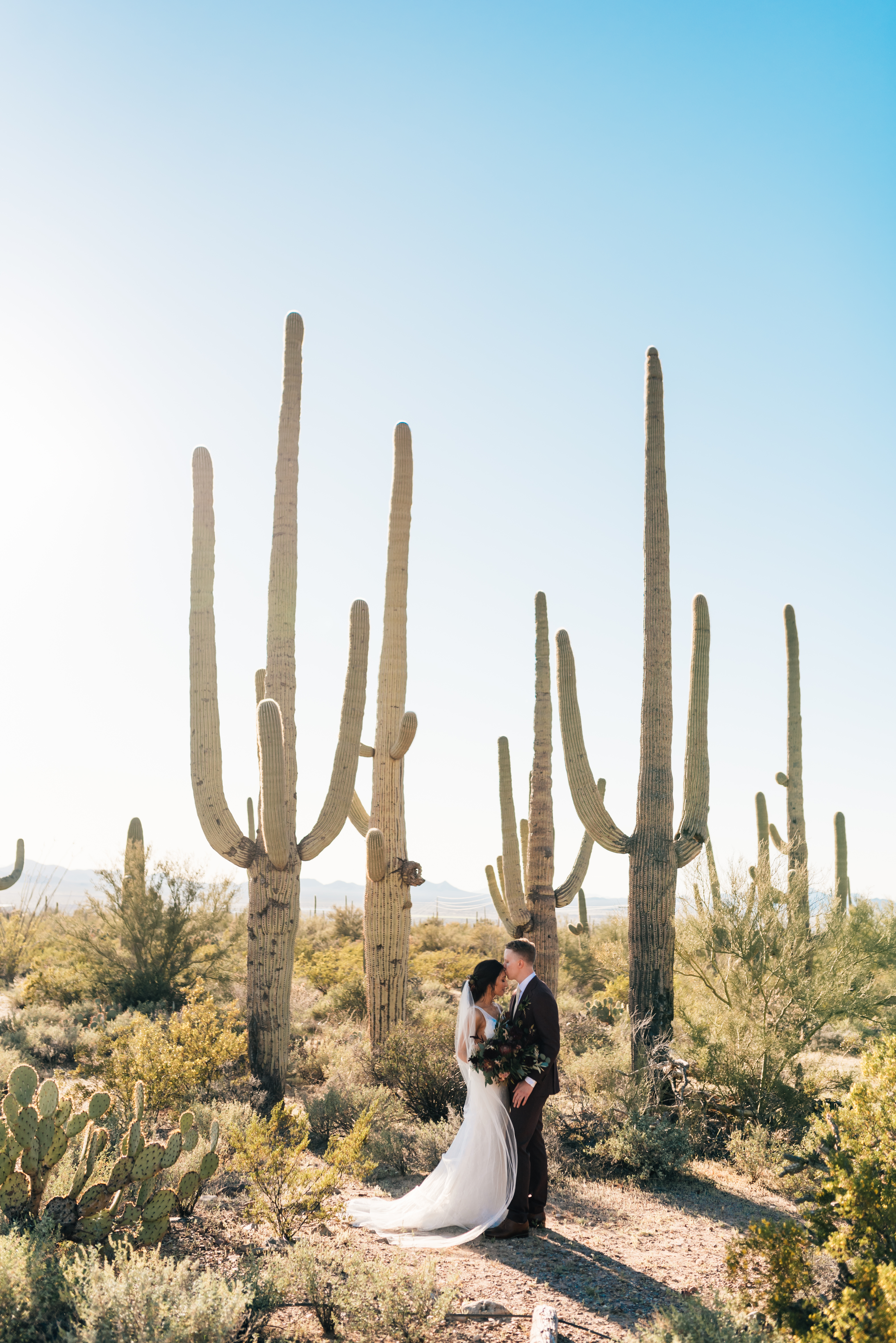 Saguaro Cactus Wedding